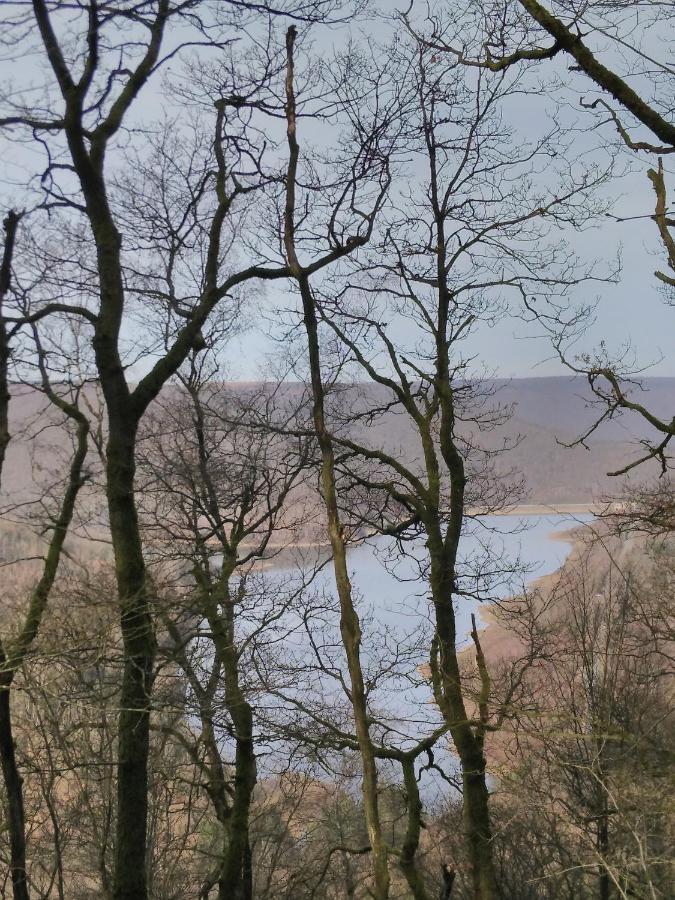 Entre Meuse Et Foret Revin  Eksteriør billede