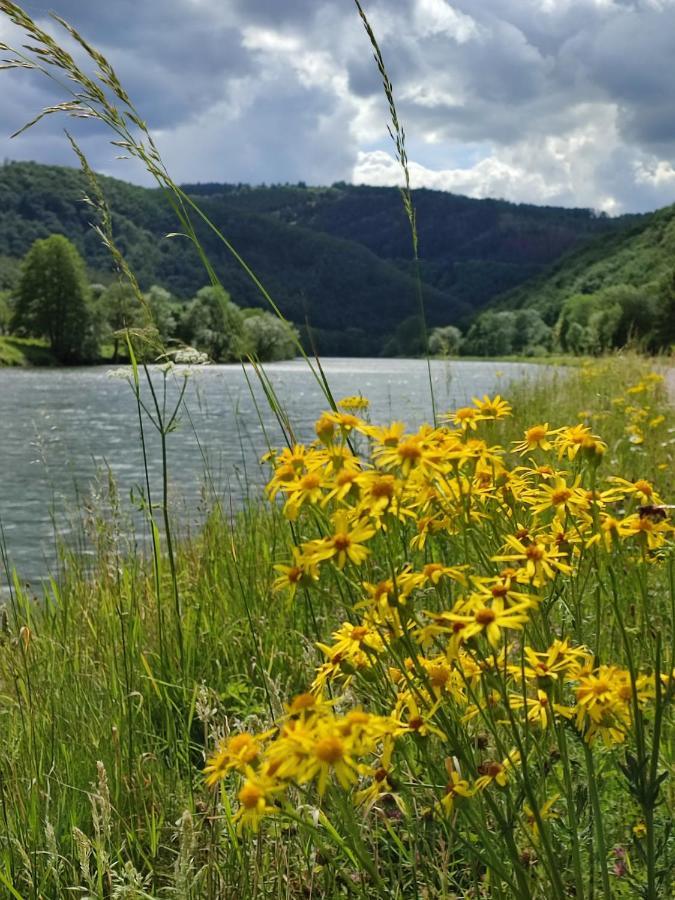 Entre Meuse Et Foret Revin  Eksteriør billede