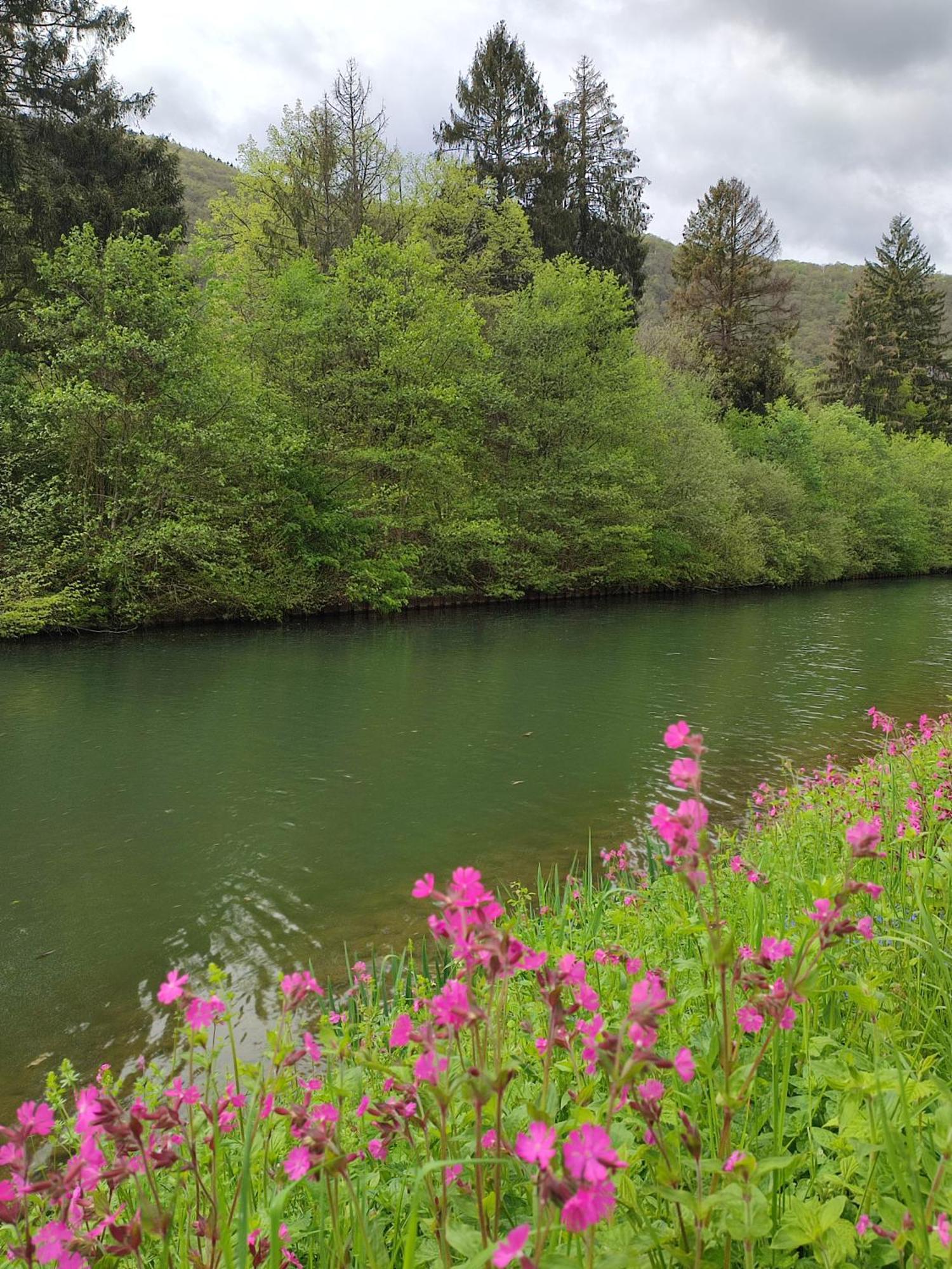 Entre Meuse Et Foret Revin  Eksteriør billede