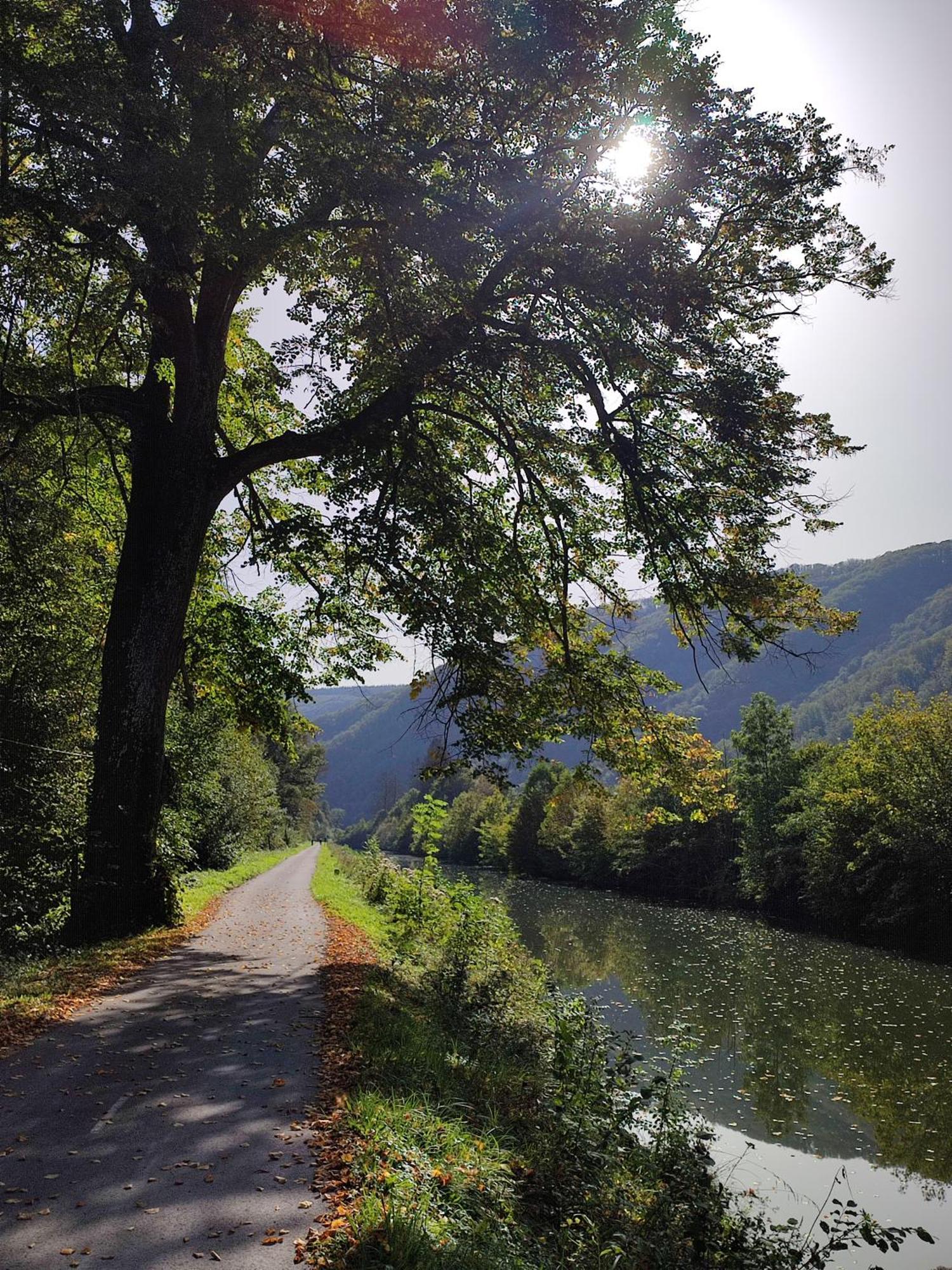 Entre Meuse Et Foret Revin  Eksteriør billede