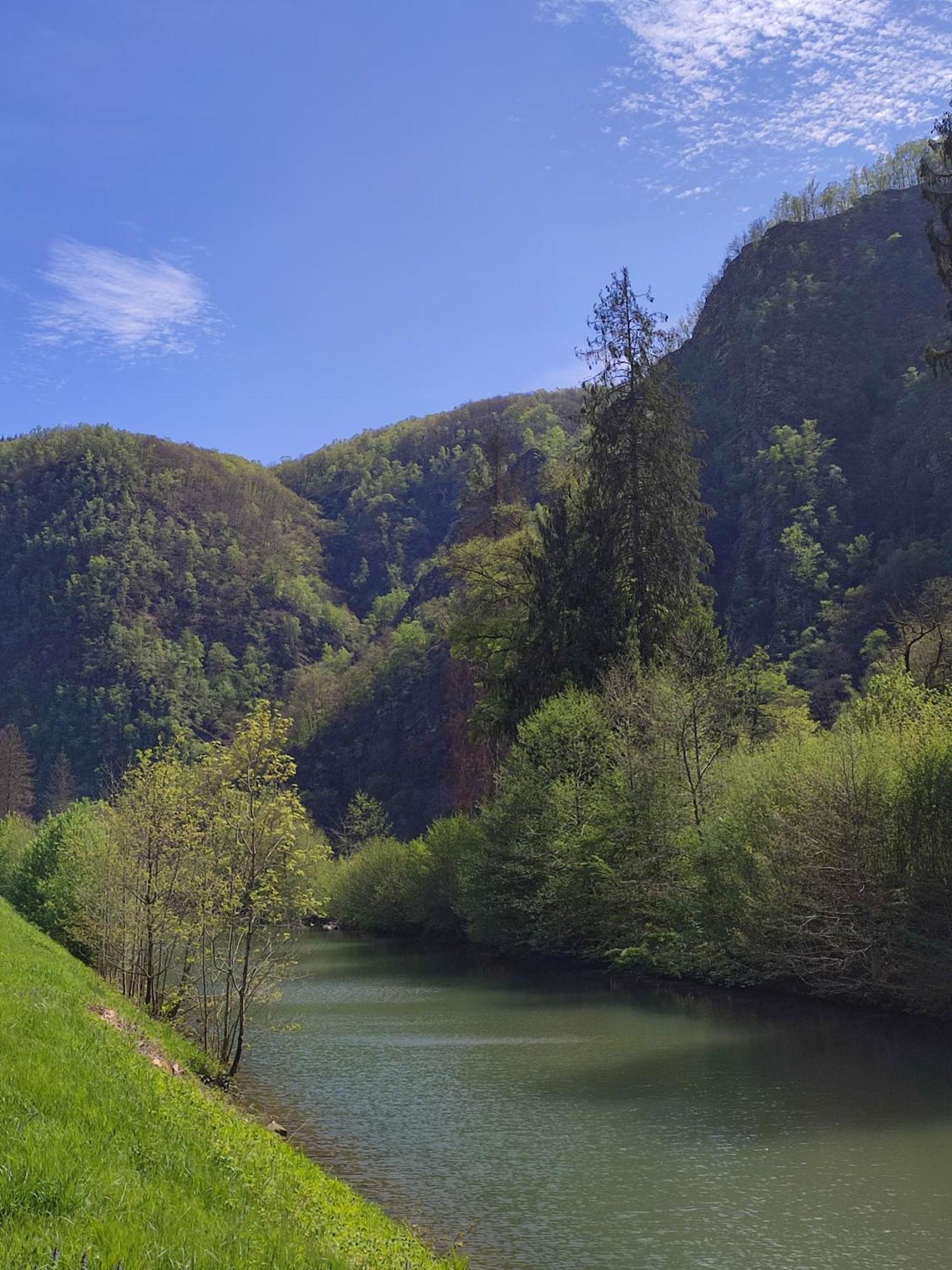 Entre Meuse Et Foret Revin  Eksteriør billede